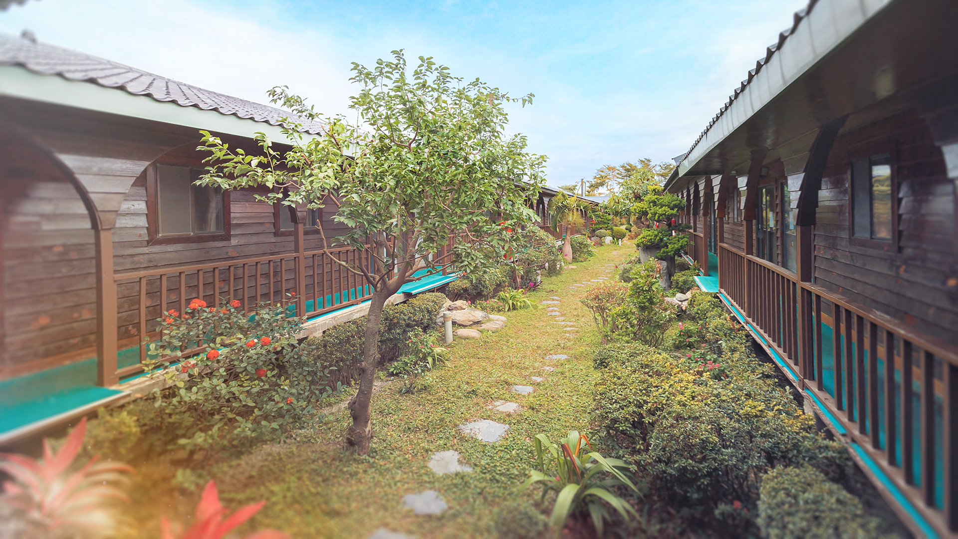 龍星花園木屋