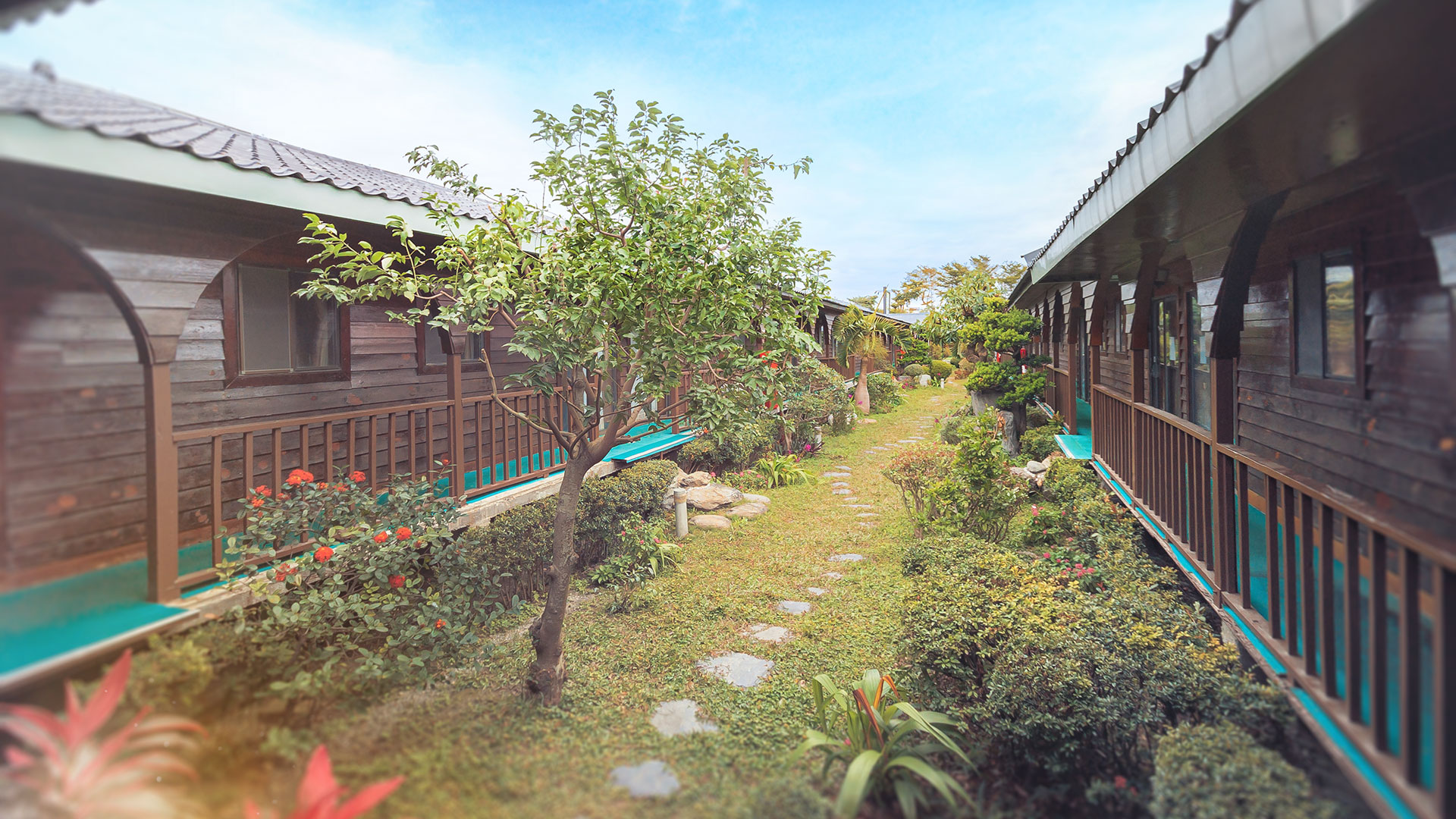 龍星花園木屋
